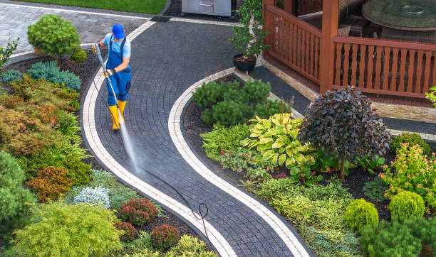 Best Pressure Washing Company Near Me  in St Lawrence, PA